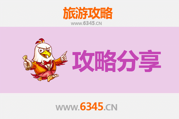 伊犁旅游选择指南：跟团游与自由行全方位对比